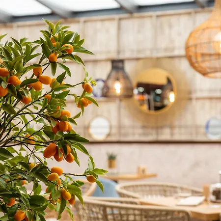 Promenade (adults Only) بورغاس